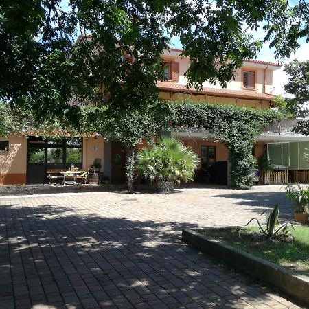 Guesthouse Skofije Ob Parenzani Spodnje Skofije Exteriör bild