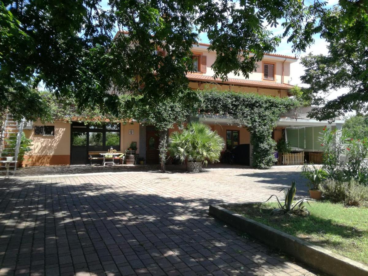 Guesthouse Skofije Ob Parenzani Spodnje Skofije Exteriör bild