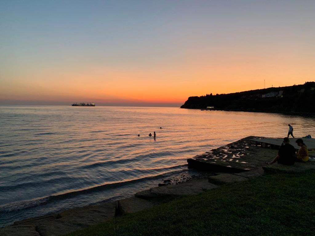 Guesthouse Skofije Ob Parenzani Spodnje Skofije Exteriör bild